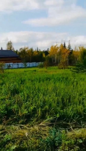 ДП Родной в Ивделе - ivdel.yutvil.ru