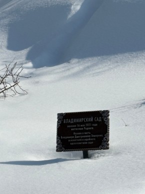 ДП Родной в Ивделе - ivdel.yutvil.ru - фото 11