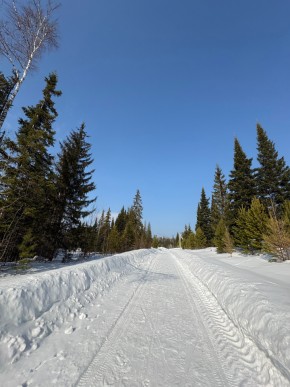 ДП Родной в Ивделе - ivdel.yutvil.ru - фото 7