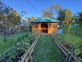 Екатеренбург сад Торгмаш, СНТ  Садовод, уч. 52 в Ивделе - ivdel.yutvil.ru - фото 10