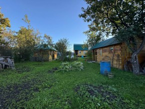 Екатеренбург сад Торгмаш, СНТ  Садовод, уч. 52 в Ивделе - ivdel.yutvil.ru - фото 14
