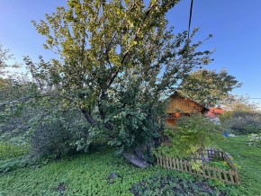 Екатеренбург сад Торгмаш, СНТ  Садовод, уч. 52 в Ивделе - ivdel.yutvil.ru - фото 17