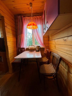 Екатеренбург сад Торгмаш, СНТ  Садовод, уч. 52 в Ивделе - ivdel.yutvil.ru - фото 5