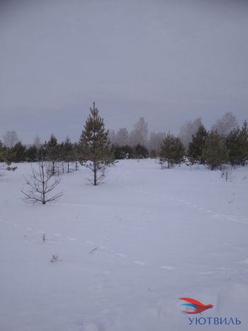 Земельный участок поселок Баженово в Ивделе - ivdel.yutvil.ru - фото 5
