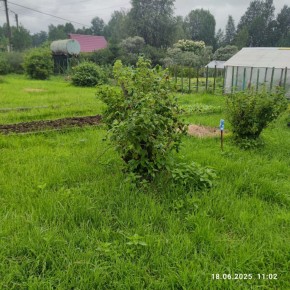 г Верхняя пышма, СНТ Мираж, уч.№ 99 в Ивделе - ivdel.yutvil.ru - фото 11