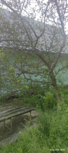 г Верхняя пышма, СНТ Мираж, уч.№ 99 в Ивделе - ivdel.yutvil.ru - фото 26