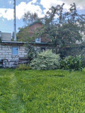 Коллективный сад номер 7, участок 58 в Ивделе - ivdel.yutvil.ru - фото 21