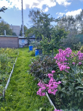 Коллективный сад номер 7, участок 58 в Ивделе - ivdel.yutvil.ru - фото 23
