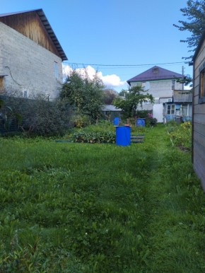Коллективный сад номер 7, участок 58 в Ивделе - ivdel.yutvil.ru - фото 26