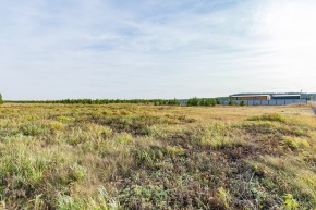 Российская Федерация, Свердловская область, Сысертский городской округ, территория садоводческого некоммерческого товарищества Бобровские дачи, улица Каштановая, земельный участок № 38 в Ивделе - ivdel.yutvil.ru - фото 24