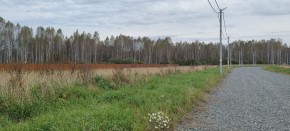 с. Новоалексеевское, КП Оникс, в Ивделе - ivdel.yutvil.ru - фото 2 с. Новоалексеевское, КП Оникс, в Ивделе - ivdel.yutvil.ru - фото 2