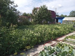 СНТ Медик-2 в Ивделе - ivdel.yutvil.ru - фото 6