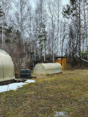 СНТ Родники в Ивделе - ivdel.yutvil.ru - фото 14