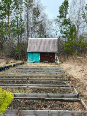 СНТ Родники в Ивделе - ivdel.yutvil.ru - фото 7