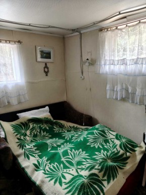 СНТ Родники в Ивделе - ivdel.yutvil.ru - фото 10