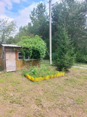 СНТ Родники в Ивделе - ivdel.yutvil.ru - фото 2