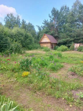 СНТ Родники в Ивделе - ivdel.yutvil.ru - фото 3