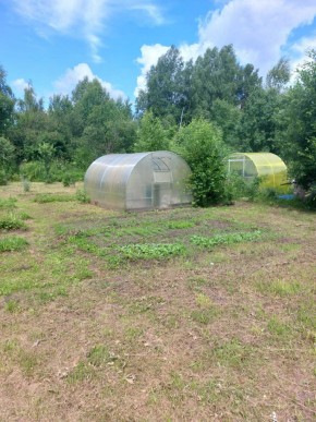 СНТ Родники в Ивделе - ivdel.yutvil.ru - фото 4