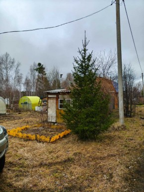 СНТ Родники в Ивделе - ivdel.yutvil.ru - фото 5