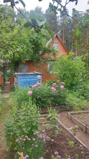 СНТ Садовод-24 в Ивделе - ivdel.yutvil.ru