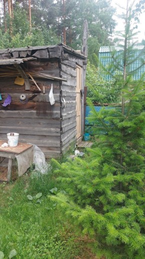 СНТ Садовод-24 в Ивделе - ivdel.yutvil.ru - фото 13