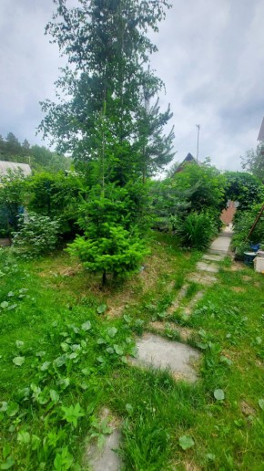 СНТ Садовод-24 в Ивделе - ivdel.yutvil.ru - фото 16