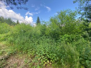 СПК Юбилейный, уч. 9 в Ивделе - ivdel.yutvil.ru - фото 7