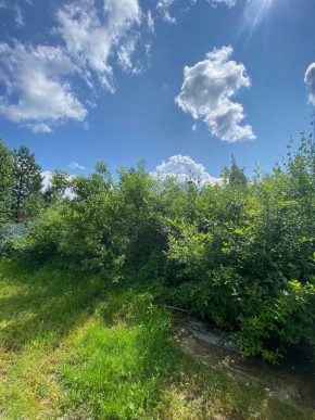 СПК Юбилейный, уч. 9 в Ивделе - ivdel.yutvil.ru - фото 8