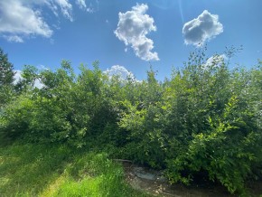 СПК Юбилейный, уч. 9 в Ивделе - ivdel.yutvil.ru - фото 9