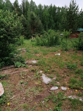 СТН Семья №112, Верхняя пышма на землях бывшего подсобного хозяйтва верхнепышминского опытного завода в Ивделе - ivdel.yutvil.ru - фото 17 СТН Семья №112, Верхняя пышма на землях бывшего подсобного хозяйтва верхнепышминского опытного завода в Ивделе - ivdel.yutvil.ru - фото 17