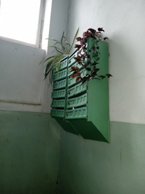 ул. Бажова,11 в Ивделе - ivdel.yutvil.ru - фото 3