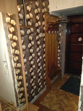 ул. Бажова,11 в Ивделе - ivdel.yutvil.ru - фото 9