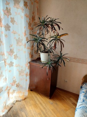 ул. Индустрии,29 в Ивделе - ivdel.yutvil.ru - фото 4 ул. Индустрии,29 в Ивделе - ivdel.yutvil.ru - фото 4