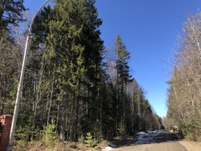 ул. Калиновая,9 в Ивделе - ivdel.yutvil.ru - фото 3
