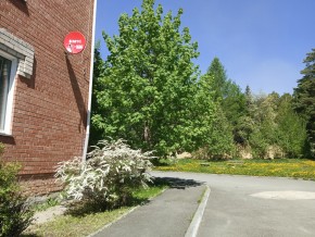 ул. Сосновая, 8 в Ивделе - ivdel.yutvil.ru - фото 25