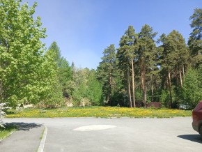 ул. Сосновая, 8 в Ивделе - ivdel.yutvil.ru - фото 26