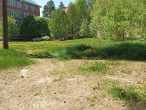 ул. Сосновая, 8 в Ивделе - ivdel.yutvil.ru - фото 33