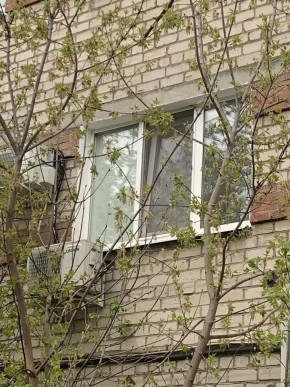 ул. Таганская,8 в Ивделе - ivdel.yutvil.ru - фото 14