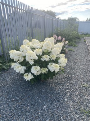 ул. Весенняя,12 в Ивделе - ivdel.yutvil.ru - фото 20